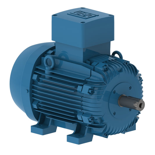 WEG W21Xd Explosion Proof 30HP 2P 180L 380V 50HZ IP55 B3L(D)